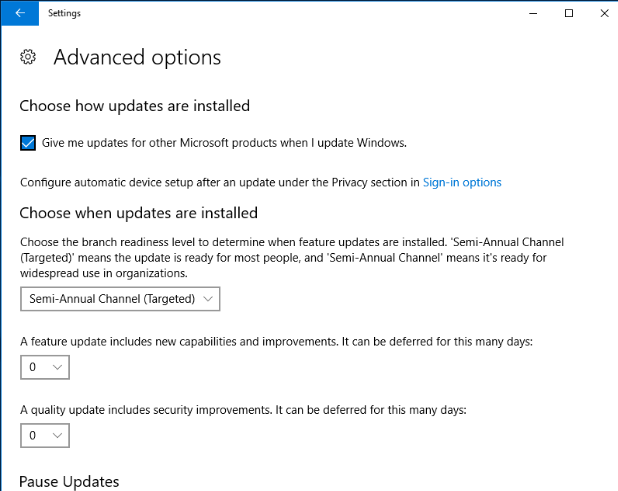 enabling-windows-update-advanced-option